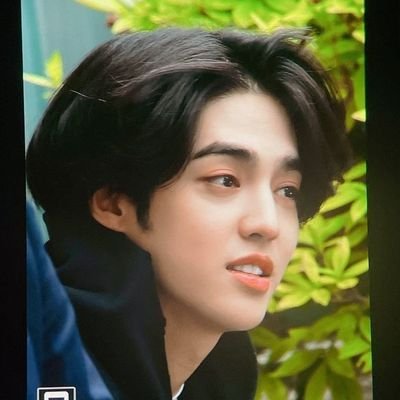 For Seventeen and Cheolieto, and oh I have this tiniest crush on Minghao Beibao.