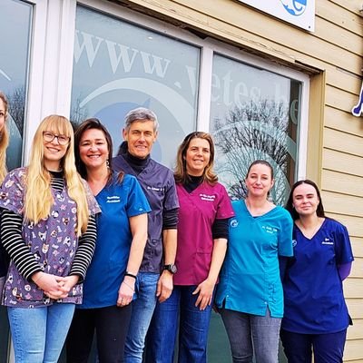Centre vétérinaire pour animaux de compagnie et chevaux. Consultations, visites à domicile, chirurgie, ophtalmologie,imagerie médicale,...