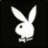 pavurypixaq's profile image