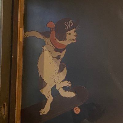 boguboguPT's profile picture. 回復期→急性期/3学会呼吸療法認定士/