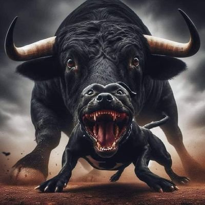 Mthokozisi_mb2's profile picture. 🎋impilo nobuntu🍃