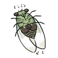 せみのすけ(みのす) (@shakomen_222) 's Twitter Profile Photo せみのすけ(みのす) (@shakomen_222) 's Twitter Profile Photo