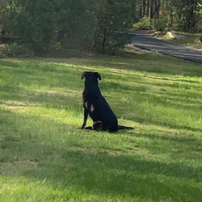 nhkrismc's profile picture. 