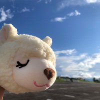 あきりん🦙 (@mnmsmmr) 's Twitter Profile