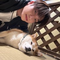 am #알라뿅 (@webiewoo) 's Twitter Profile