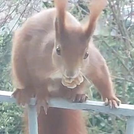 noysyr's profile picture. 