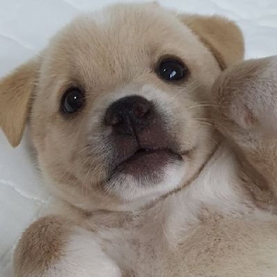 bluewings1995_'s profile picture. 우리 모두는 수원삼성이야