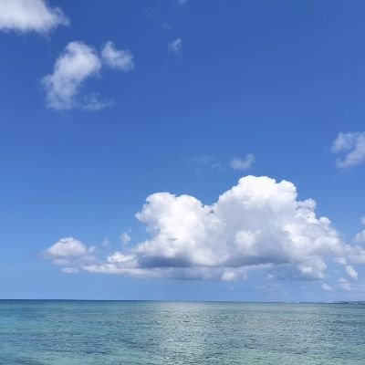 tidakanasa0515's profile picture. 沖縄に関することを、気が向いた時に綴っていきます(´ｰ｀).｡*･ﾟﾟ沖縄の自然をイメージした(？)レジンアクセサリー作りも頑張りたいところ。ラクマ▶https://t.co/wKOmTvVNvn