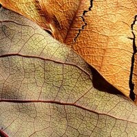 CanadaAndBeyond (@canadaandbeyond) 's Twitter Profile
