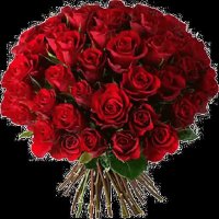 gaurav Bhardwaj (@heenai83699) 's Twitter Profile Photo gaurav Bhardwaj (@heenai83699) 's Twitter Profile Photo