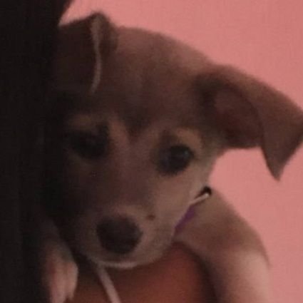 ctrizine_rpm's profile picture. ✨