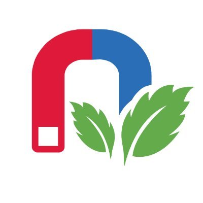 magnetmint's profile picture. AI Voice Bots that sound human. We qualify leads, book appointments, follow up with clients, and integrate all your communication channels seamlessly.