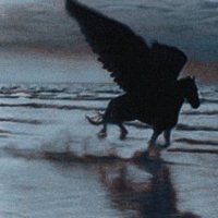 æsthetics’ Ꮧlbum 🎞 (@aestheticsalb) 's Twitter Profile