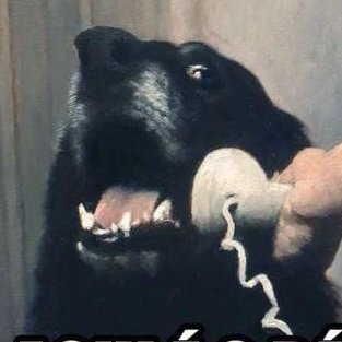 raquerdeaqa's profile picture. 