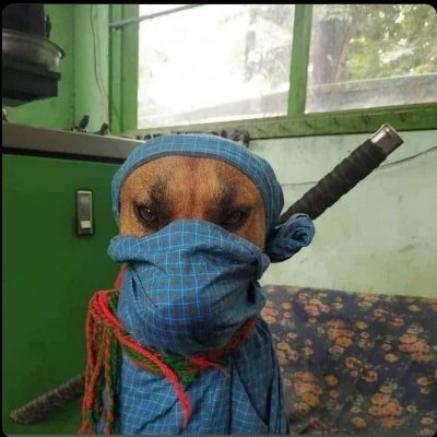 Titoincognito28's profile picture. KE®
🇰🇪 football