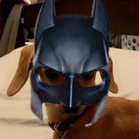 ARCA pop (@poperatorr) 's Twitter Profile