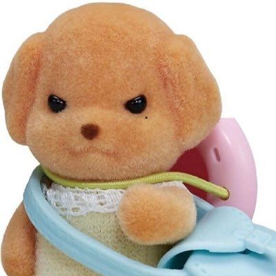 쵸さんのプロフィール画像
