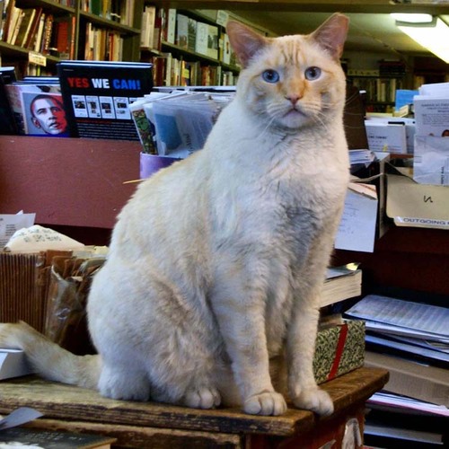 farleys's profile picture. 