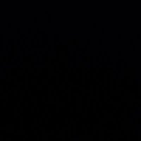 R (@d7rash) 's Twitter Profile