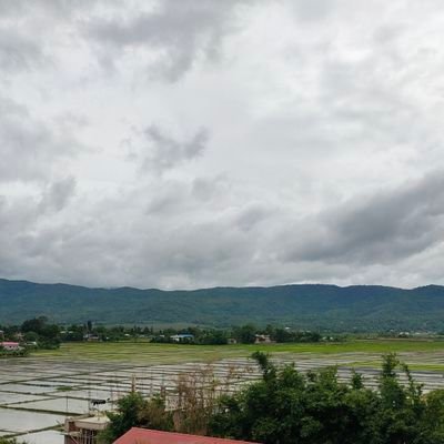 KhalifaSwa94815's profile picture. 