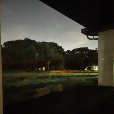 tfstntpjp2's profile picture. 
