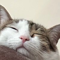 K. H. (@kjrasae) 's Twitter Profile
