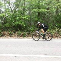 Sercan (@hortomaqiko) Twitter profile photo