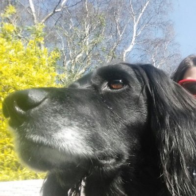 Freelance Researcher and Writer. Books, music, food, art and nature. National Trust Literacy Champion and children's reading volunteer. #readingforpleasure