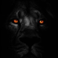 #King_Josh Fx (@king_joshfx) 's Twitter Profile