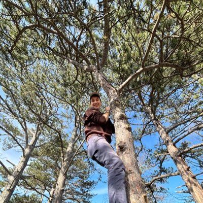 ClaymoreTobi's profile picture. I record my MTG results