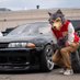 BoofLoop🏎🌸 (@boof_loop) Twitter profile photo BoofLoop🏎🌸 (@boof_loop) Twitter profile photo