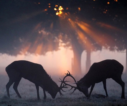 plw8857's profile picture. 