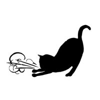 Asthmatic Kitty Records (@asthmatickitty) 's Twitter Profile