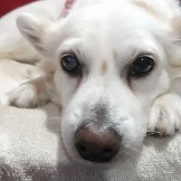 Paul Labor (@pauldplab) 's Twitter Profile