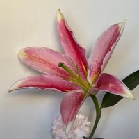 R (@notesofvalley) 's Twitter Profile