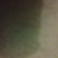 selly pevita (@scooterinlaw) 's Twitter Profile Photo selly pevita (@scooterinlaw) 's Twitter Profile Photo