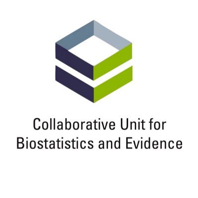 Providing comprehensive statistical and methodological support