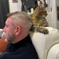 Jonny (@jonny7272) 's Twitter Profile