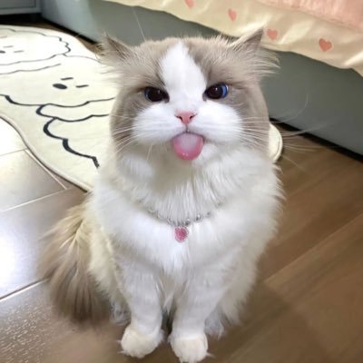 JBWHen4's profile picture. Financial