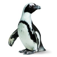 California Academy of Sciences (@calacademy) 's Twitter Profile