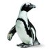 California Academy of Sciences (@calacademy) Twitter profile photo California Academy of Sciences (@calacademy) Twitter profile photo