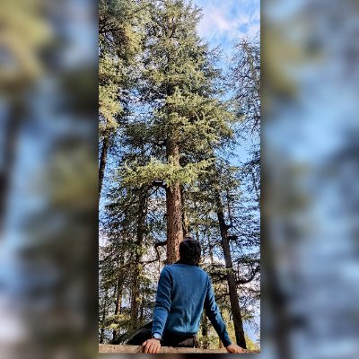 NitinChandel15's profile picture. Live, don’t just exist...