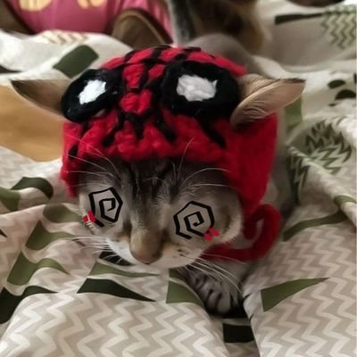 писокさんのプロフィール画像