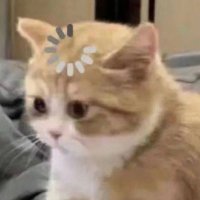 Benjamin Thiele (@eslotherwise) 's Twitter Profile