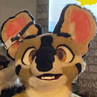 Percy 😼 (@catonalap) 's Twitter Profile