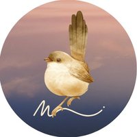 Mima (@mimalurus) 's Twitter Profile Photo Mima (@mimalurus) 's Twitter Profile Photo