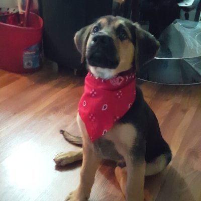 Datpiff204's profile picture. 