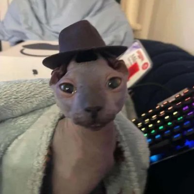 givameshlaul's profile picture. 