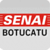 Senai Botucatu (@senaibotucatu) Twitter profile photo