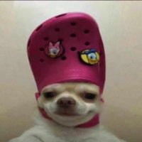 benjamin (@lvl1benjamin) 's Twitter Profile